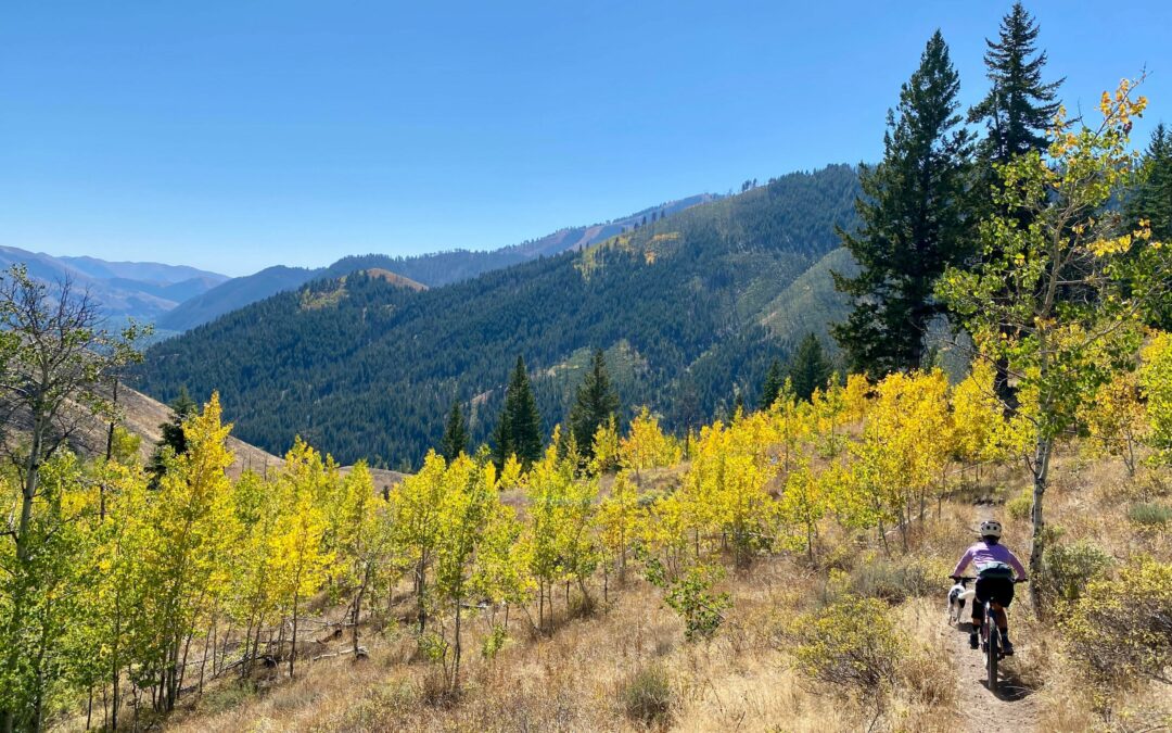 Leaf Peeping on Wheels