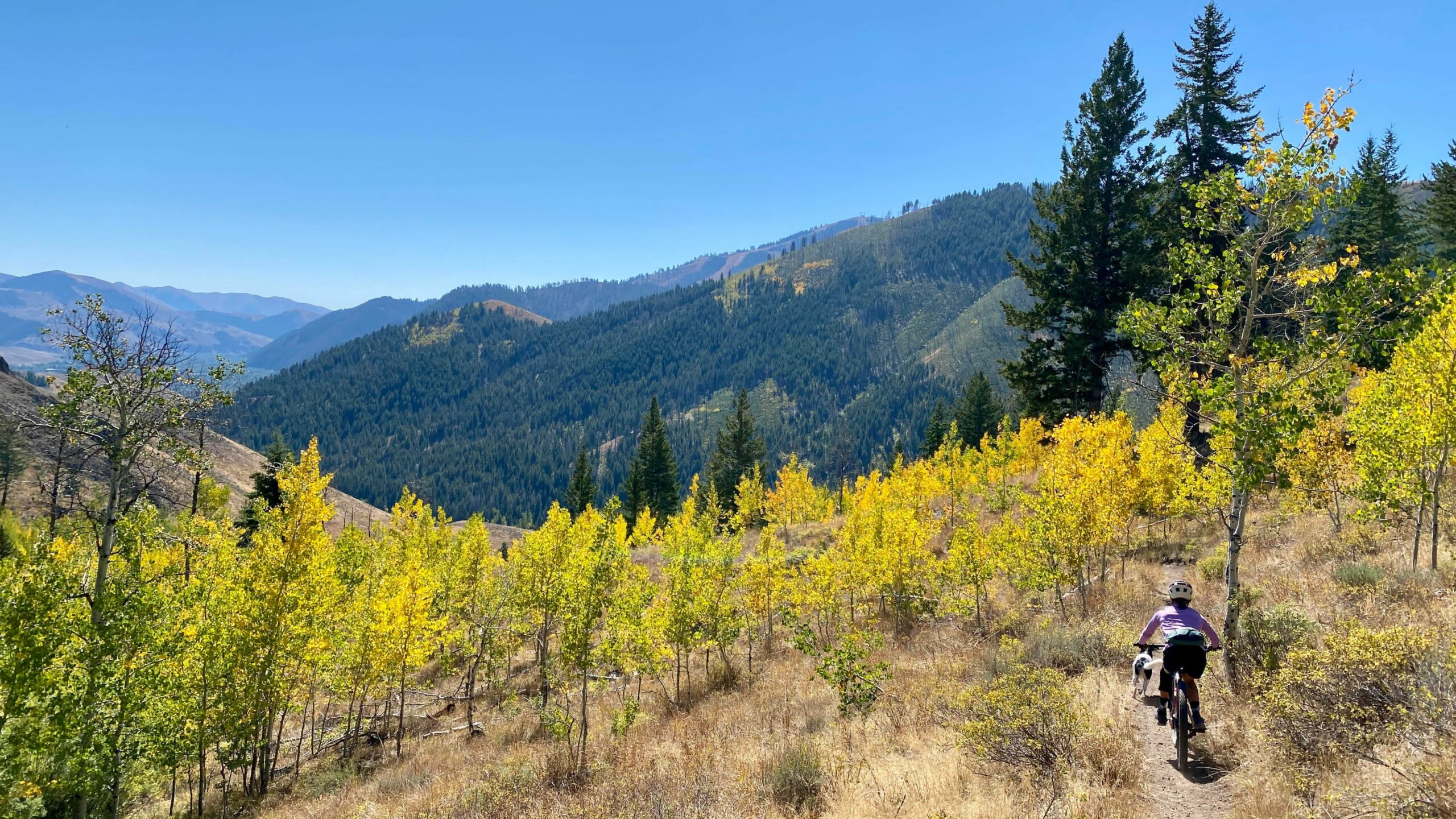 Fall mountain biking