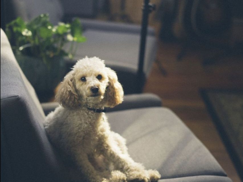 Preparing to list: Staging tips for a faster sale